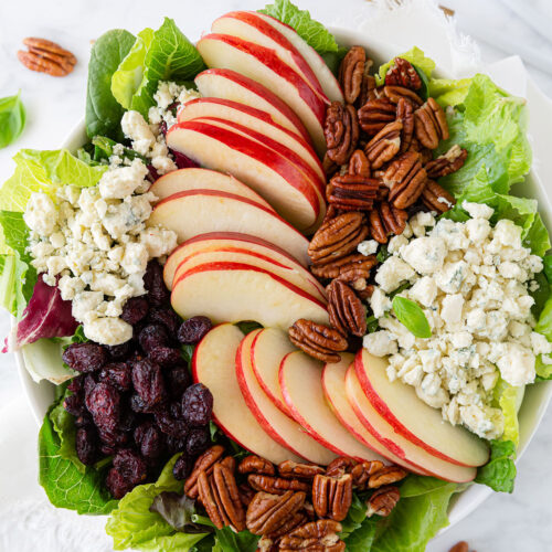 Apple Pecan and Blue Cheese Salad
