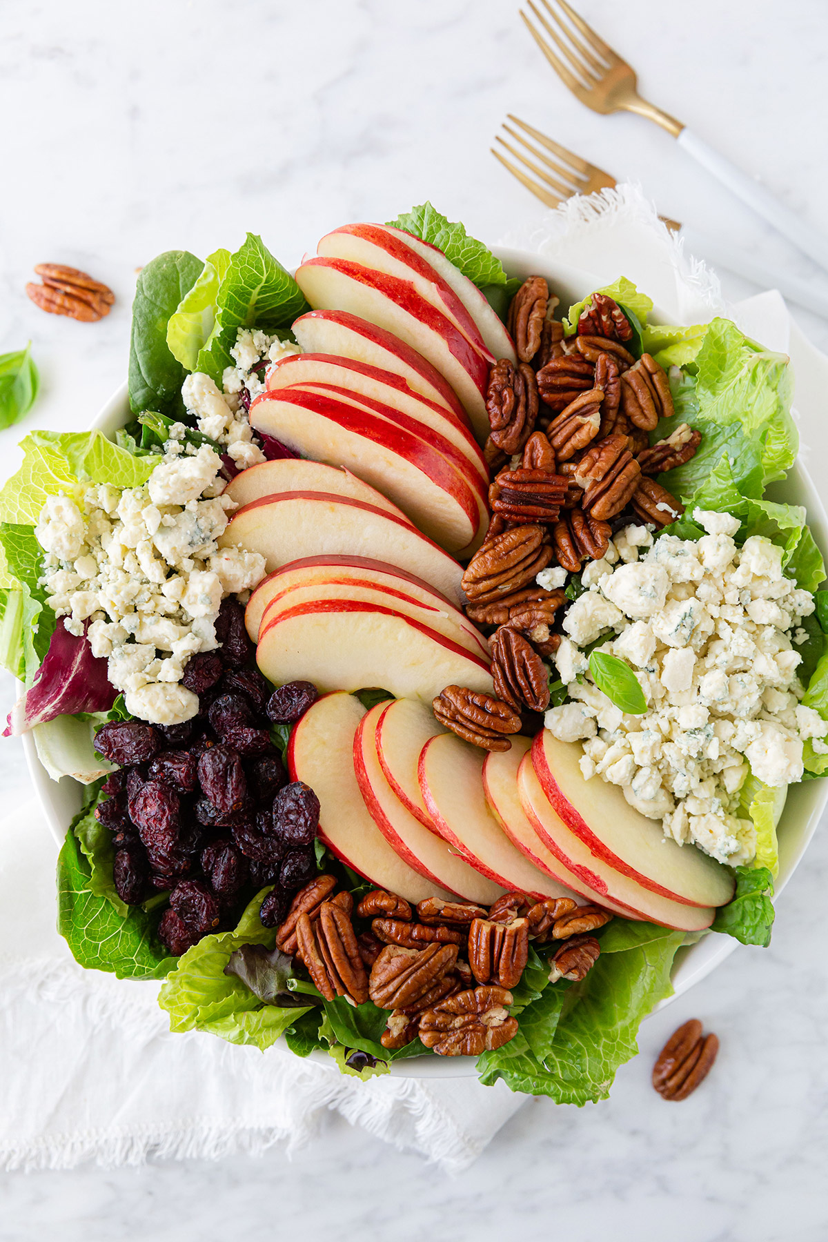 Apple Pecan and Blue Cheese Salad